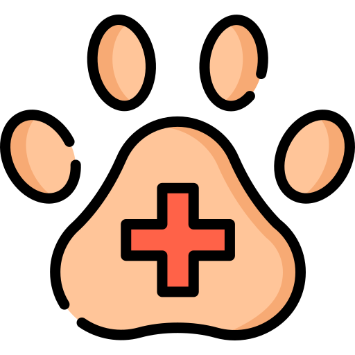 Serviço veterinário - consultas e vacinas